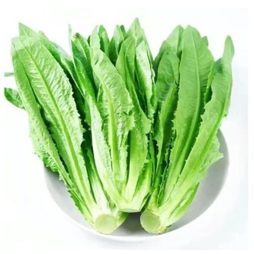 油麥菜